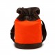 orange Messenger bags for girls