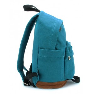 blue Canvas backpack purses women